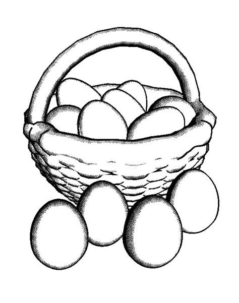 EGGS - Steller