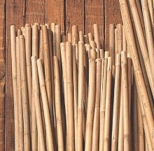bamboo stake 3&#39;x 1/2&quot;