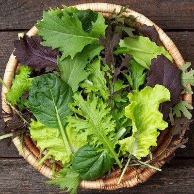 Kaleidoscope Salad Mix Seeds - Organic