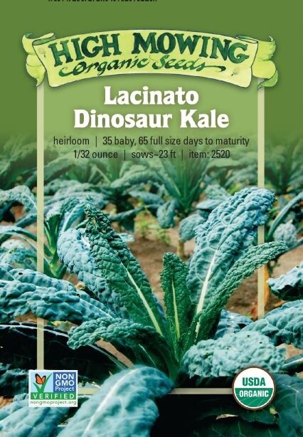 Lacinato Dinosaur Kale Seed - Organic