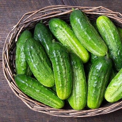 National Pickling Cucumber Seed