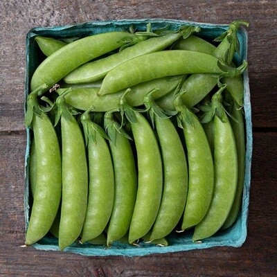 Sweet Gem Sugar Snap Pea Seed