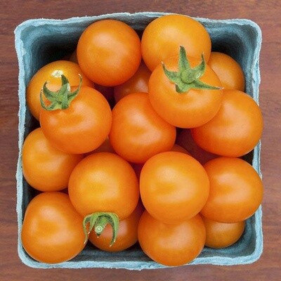 Mountain Princess Tomato SEED