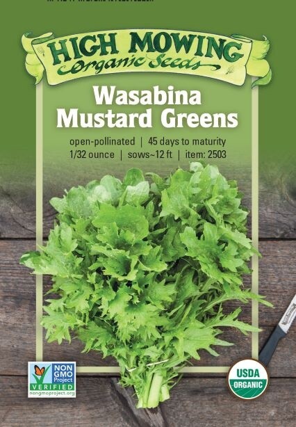 Wasabina Mustard - Organic
