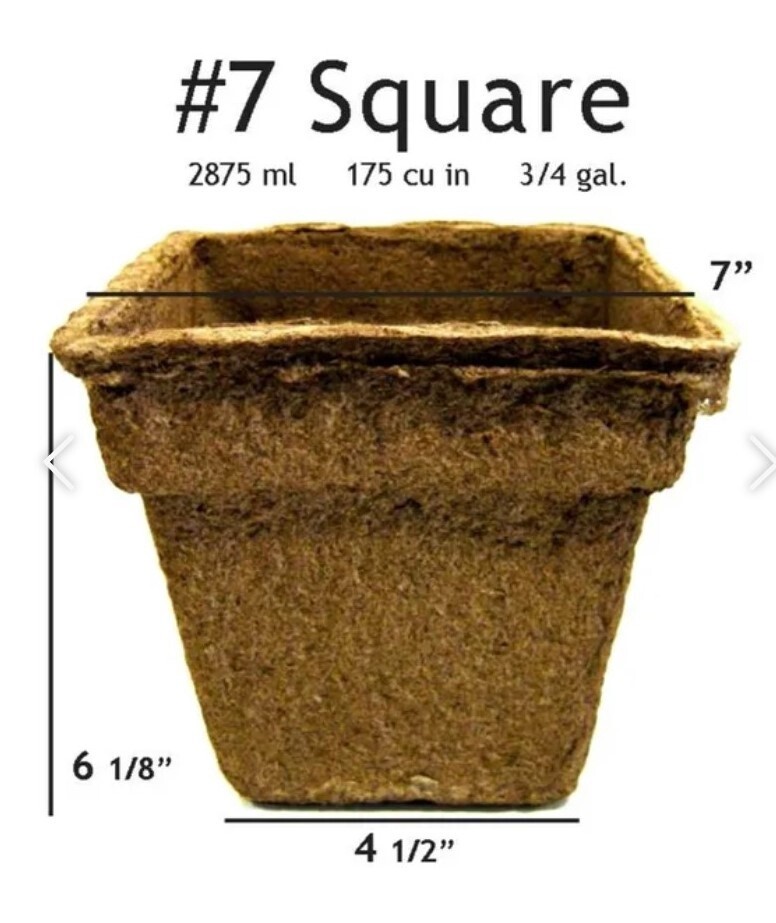 Cowpot 7&quot; square at top