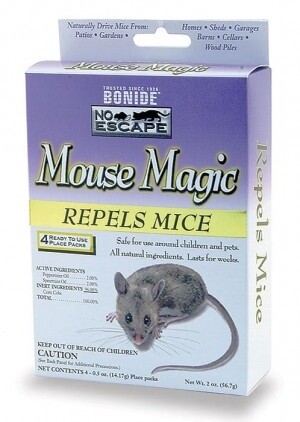 Mouse Magic