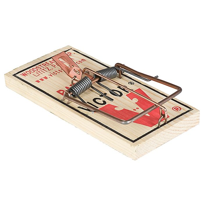 Rat Trap