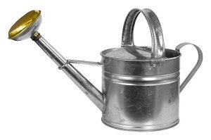 Galvanized Watering Can 4 L