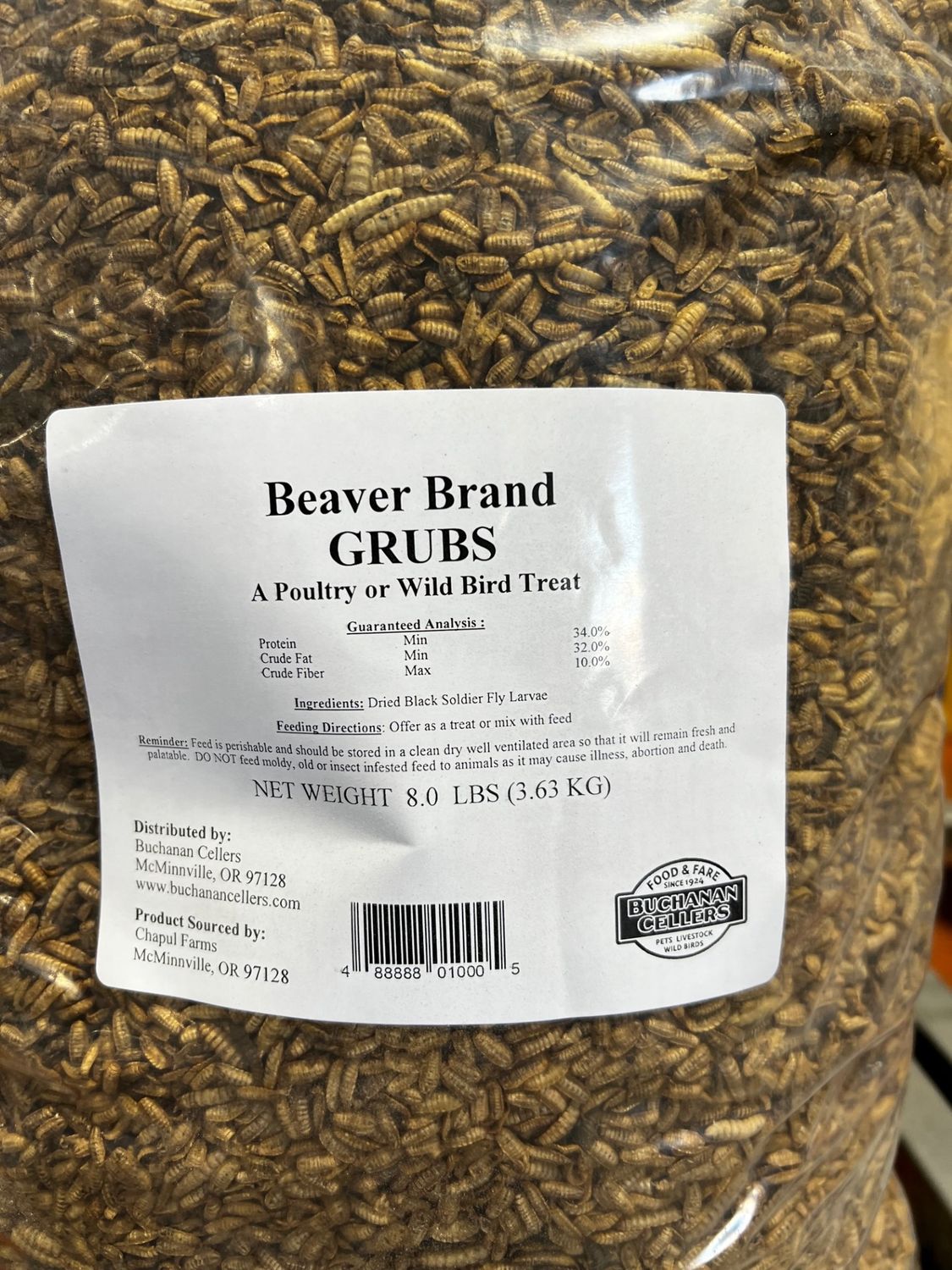 Grubs - Black Soldier Fly Larvae