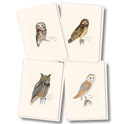 Sibley Owl Assortment Cards
