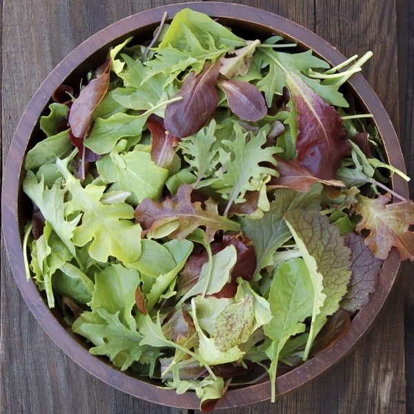 High Mowing Blend Mesclun Seed - Organic