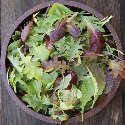 High Mowing Blend Mesclun Seed - Organic