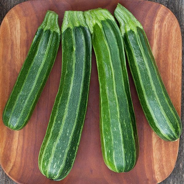 Cocozelle Zucchini SEED - Organic