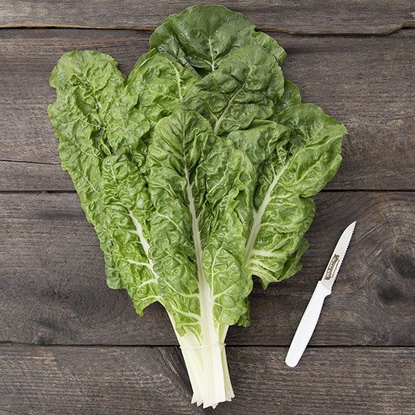 Fordhook Giant Chard SEED