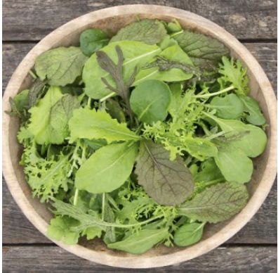 Hotshot Spicy Blend Mustard SEED - Organic