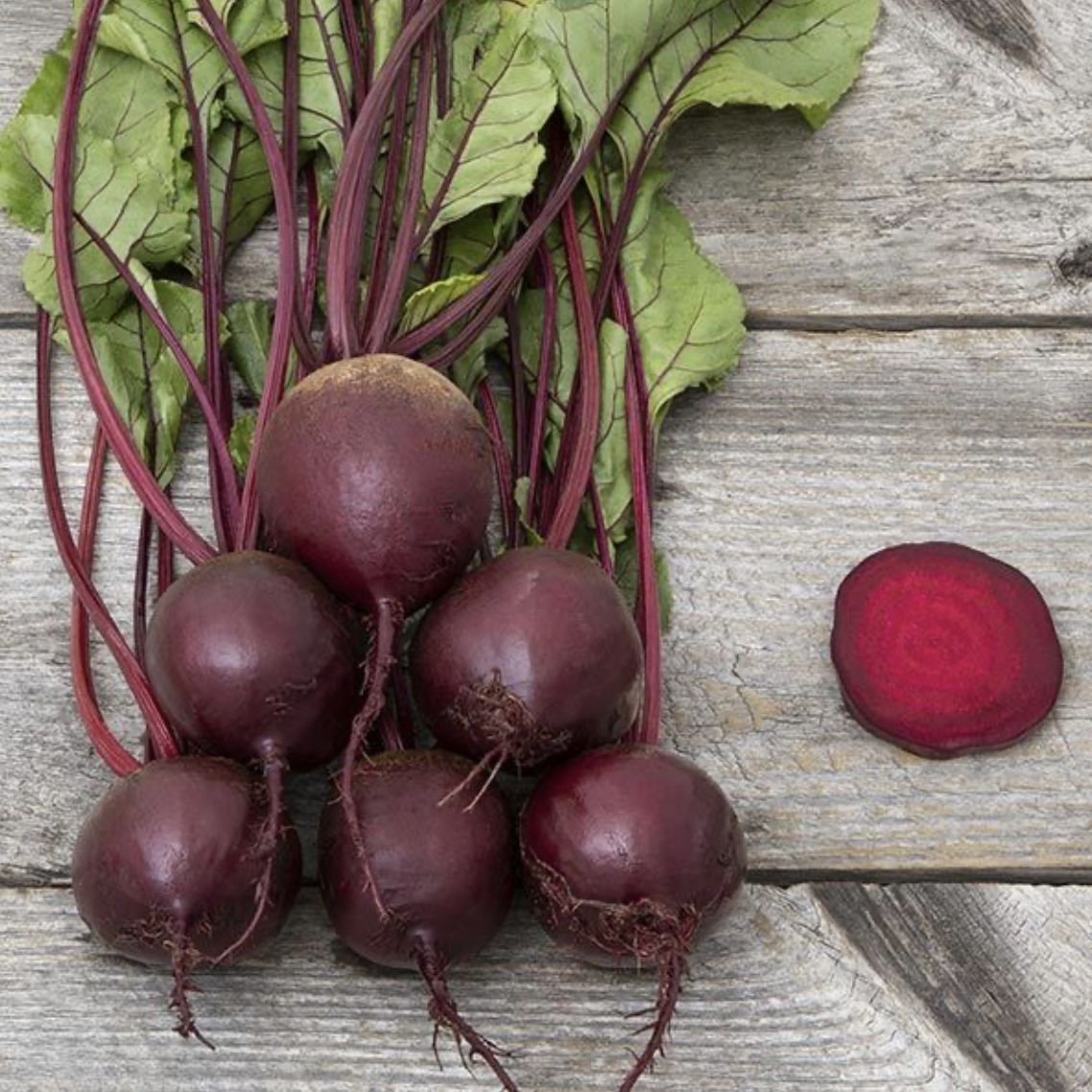 Subeto Beet Seed Organic