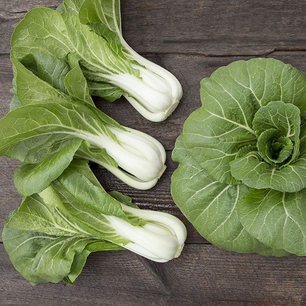 Bopak Pak Choi SEED - Organic