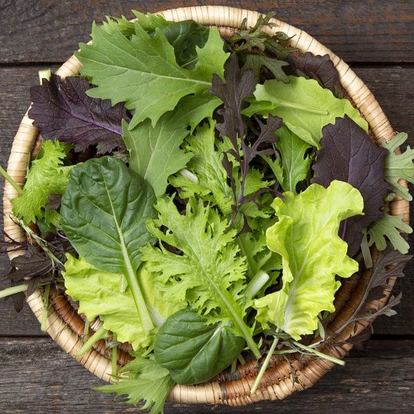 Kaleidoscope Salad Mix SEED - Organic