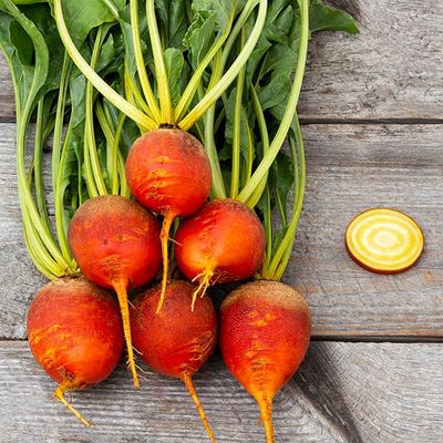 Touchstone Gold Beet SEED- Organic