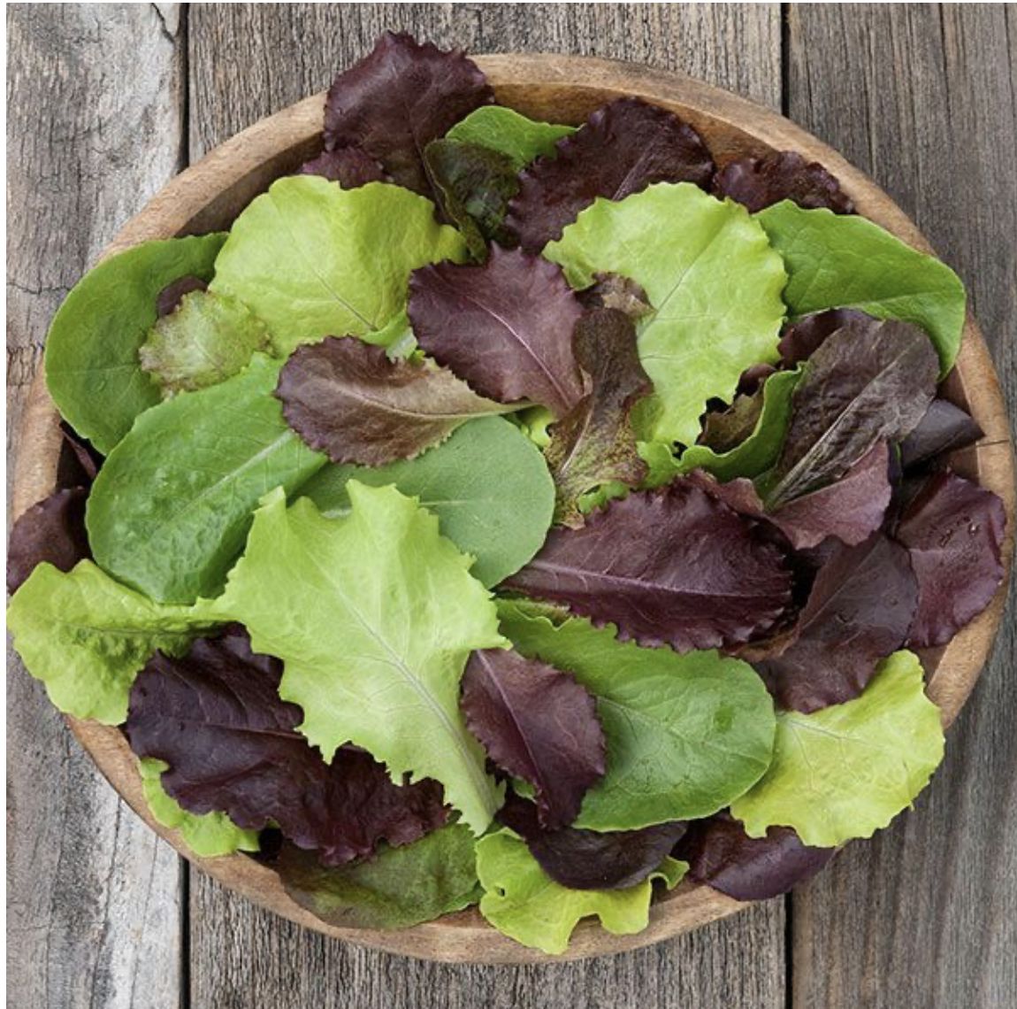 Yankee Hardy Blend Lettuce