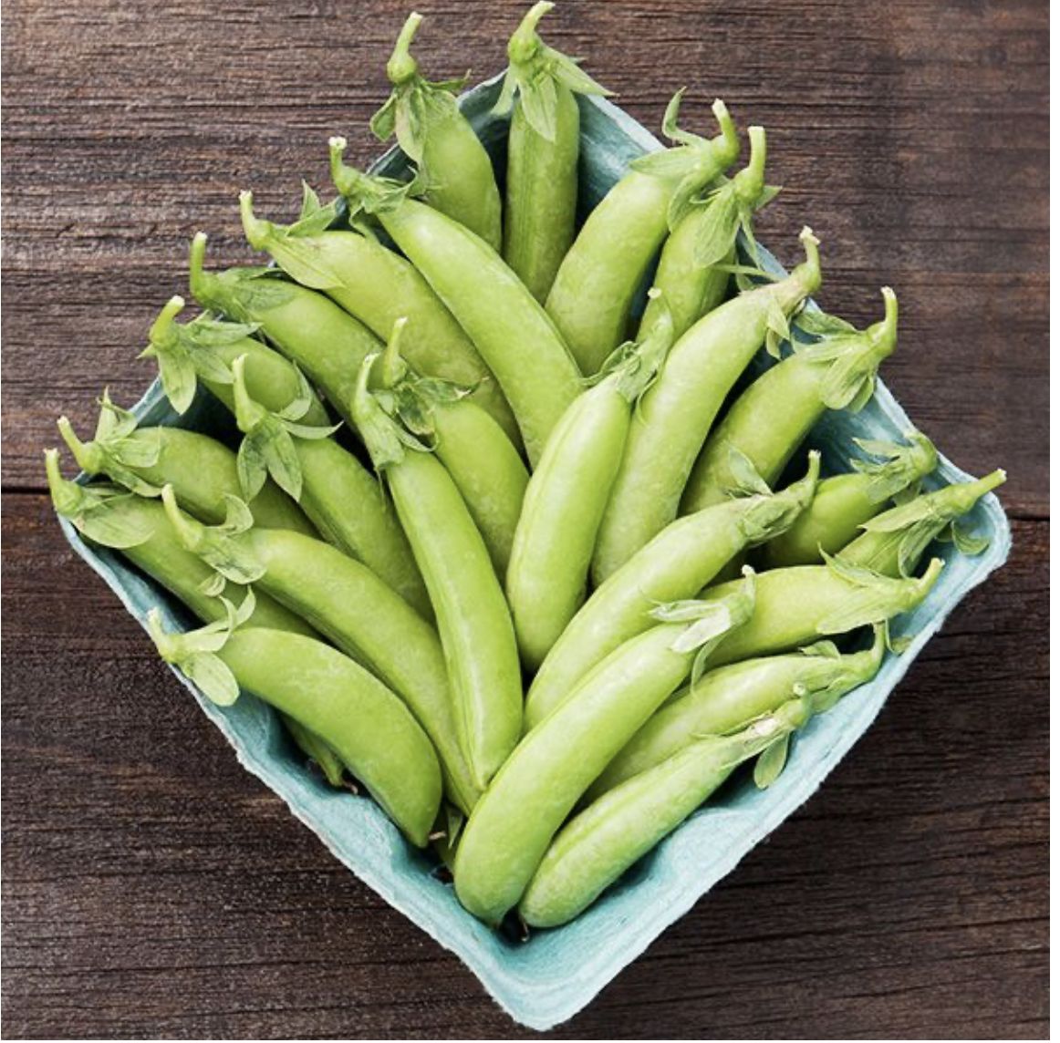 Cascadia Snap Pea SEED - Organic