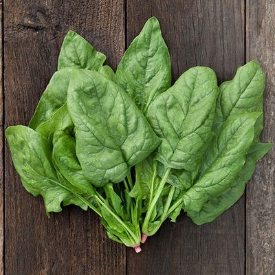 Giant Winter Spinach SEED- Organic