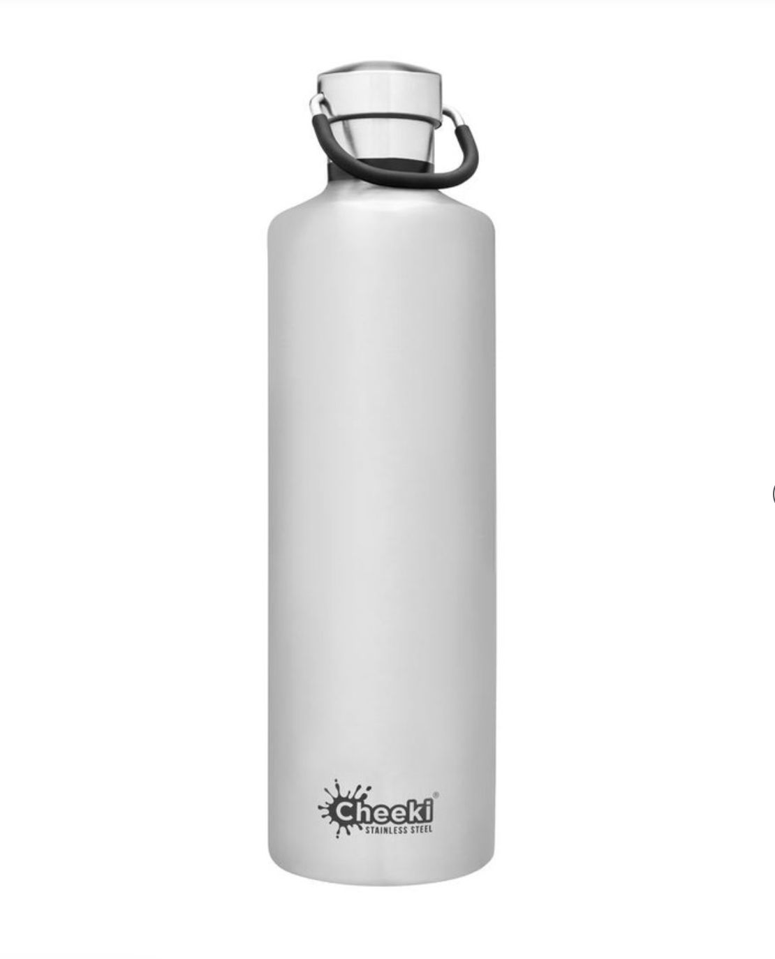Classic Insulated Stainless Steel Water Bottle