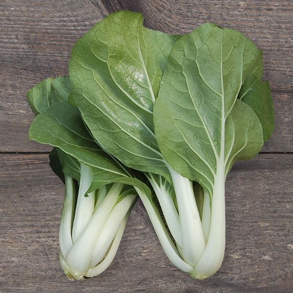 White Stemmed Pac Choy SEED