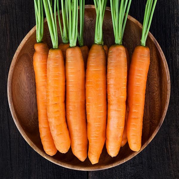 Carrot - YaYa SEED