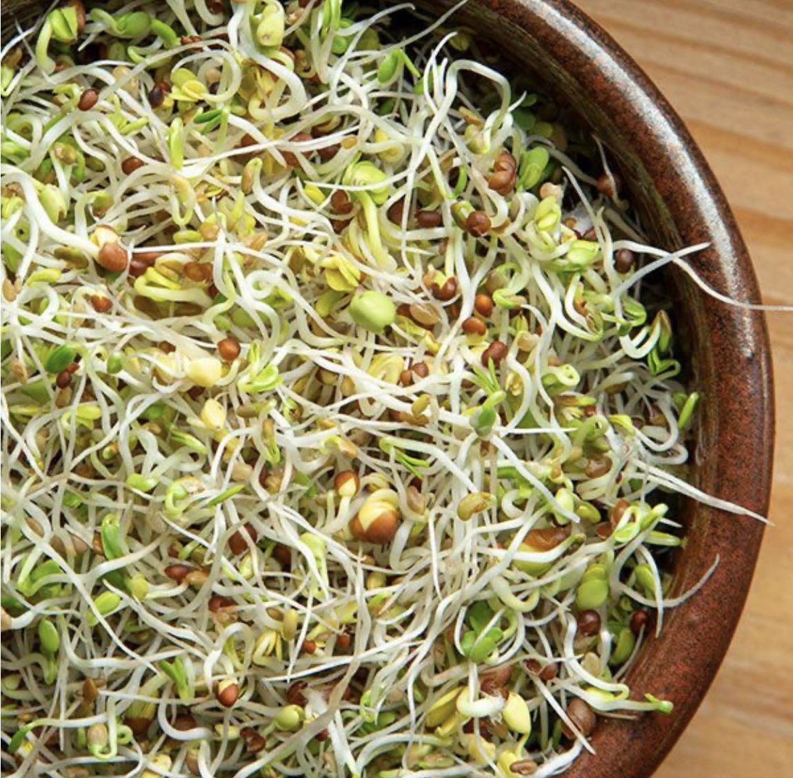 Spring Salad Sprouting SEED Mix