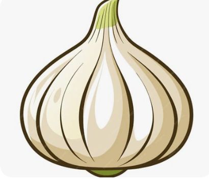 SEED GARLIC - Farragut