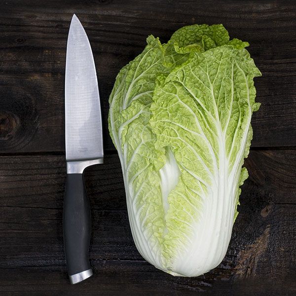 Emiko Cabbage SEED