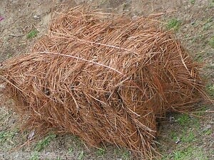 Pine Straw Bales
