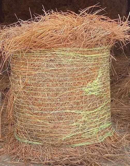 Pine Straw Rolls