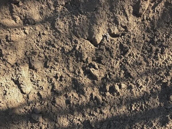 Natural Top Soil(1 Yard)