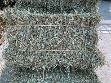 Fescue Hay Bale