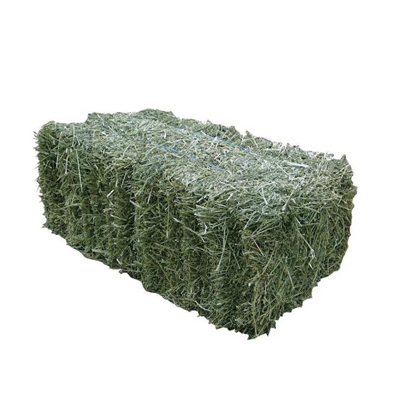 Bermuda Hay Bale