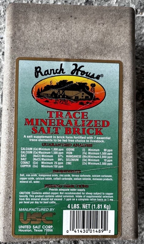 Trace Mineral Salt Brick