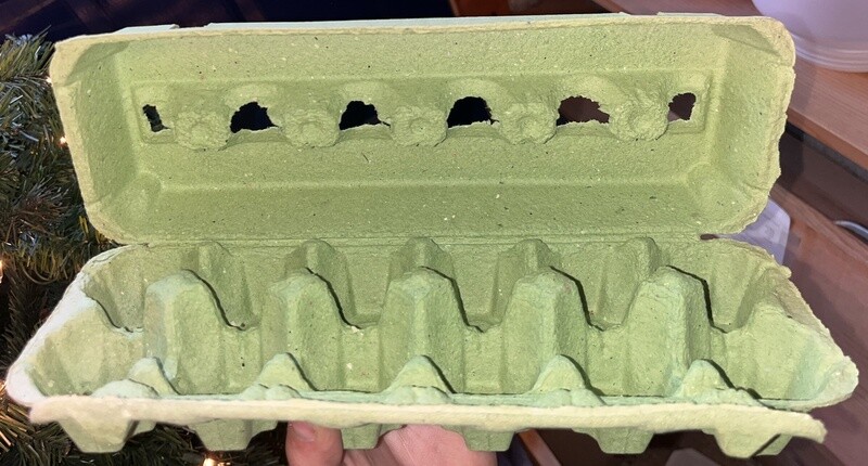 Egg Carton Empty