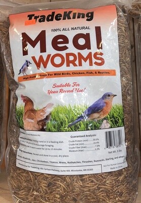 Meal Worms-5 LB