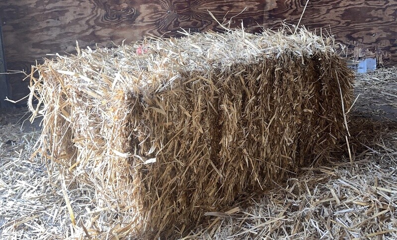 Wheat Straw Bales