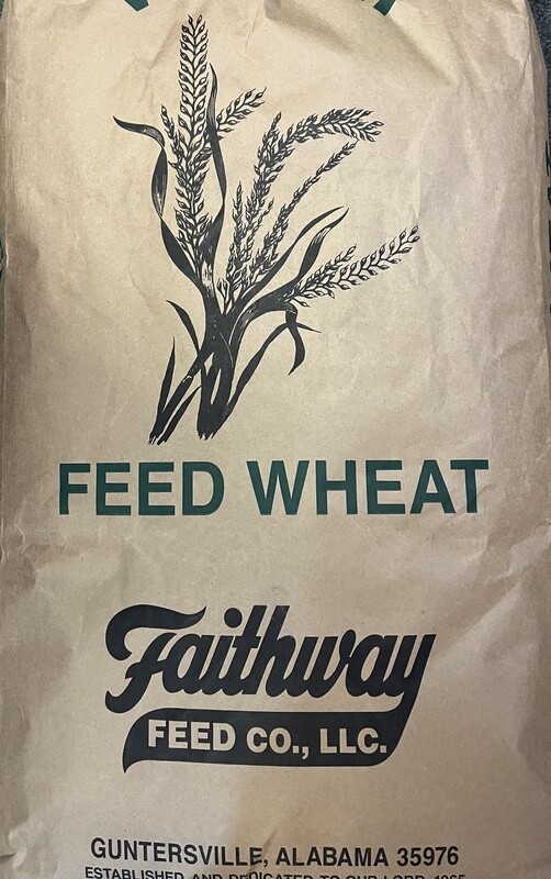 Feed Wheat-50 LB