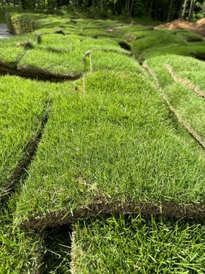 Zeon Zoysia SOD Pallet