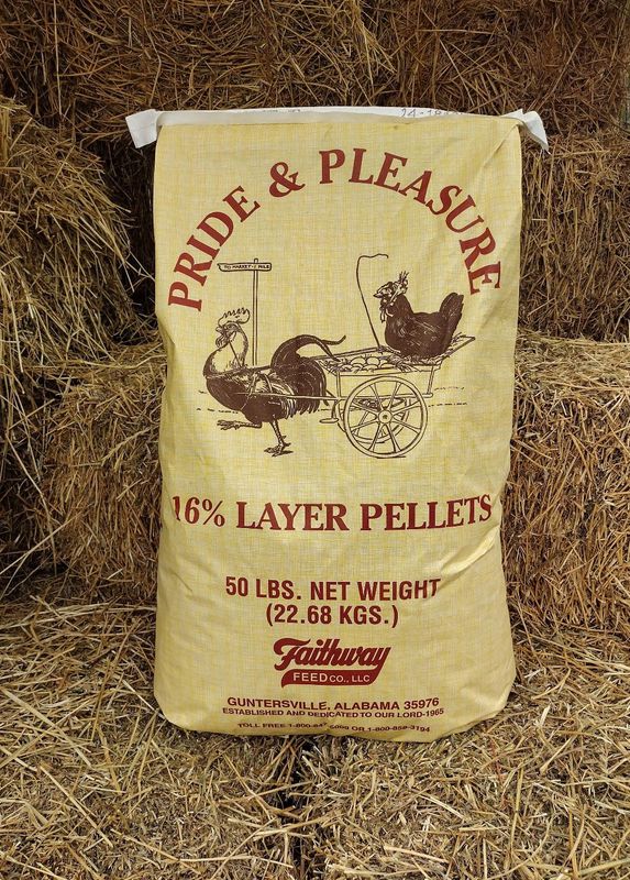 16% Layer Pellet-50 LB