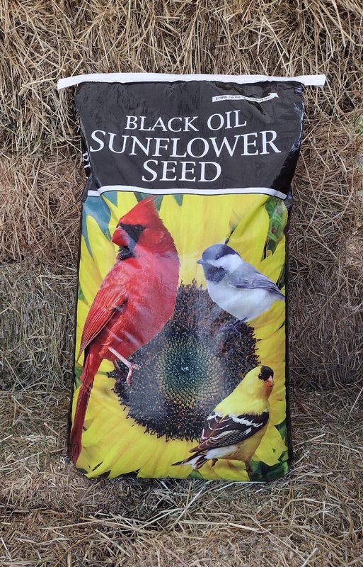 Sunflower Seed Black Oil-50 LB Bag