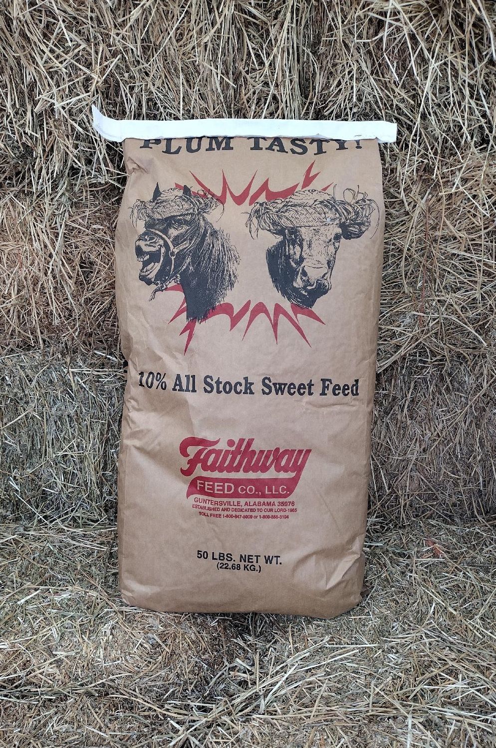 10% Plum Tasty Sweet Feed-50 LB