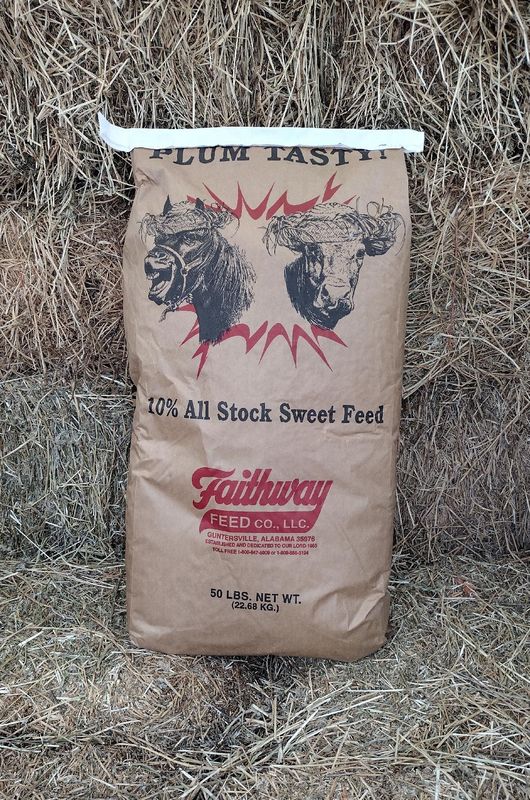 10% Plum Tasty Sweet Feed-50 LB