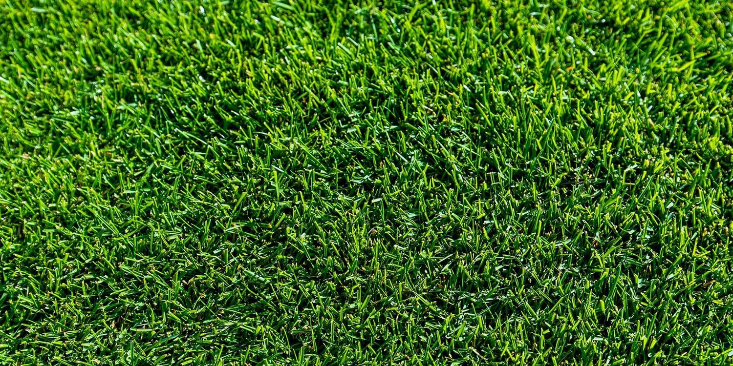 Tahoma Bermuda SOD Pallets