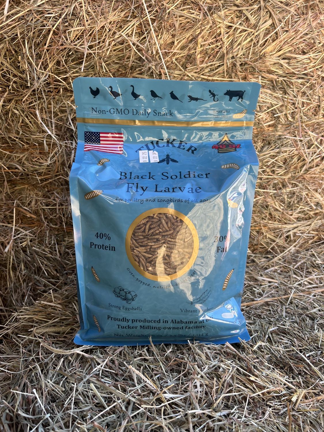 Black Soldier Fly Larvae - 2.5LB Bag