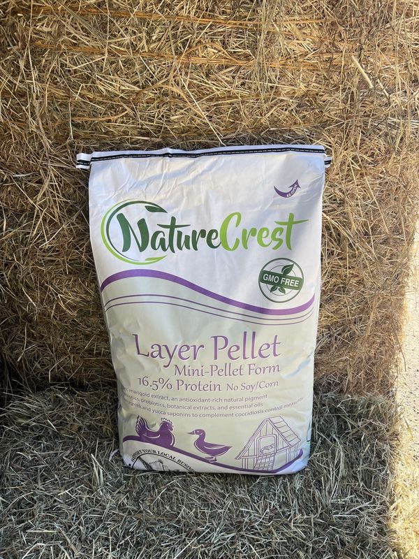 16% NON GMO MINI Layer - 50LB Bag